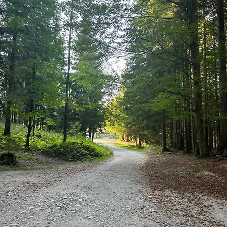 Mountain Hut Dom Pod Storzicem