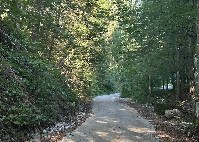 Lodge Mountain Hut Dom Pod Storzicem