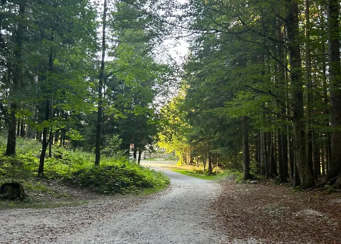 Mountain Hut Dom Pod Storzicem